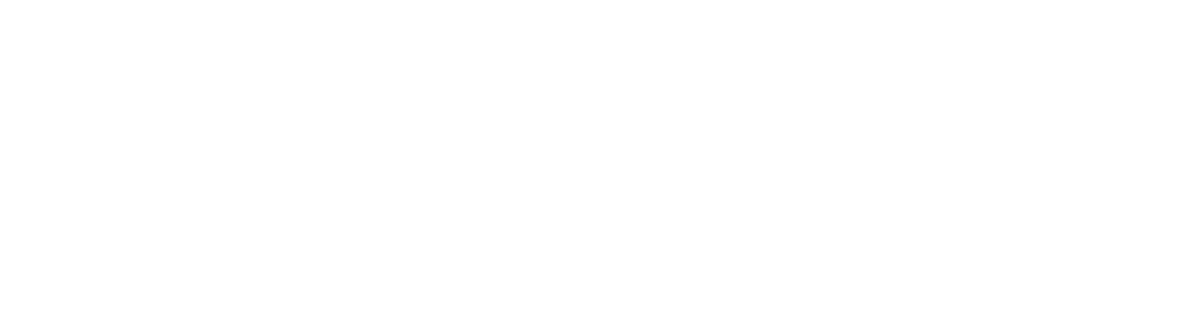 TMT Ekspert
